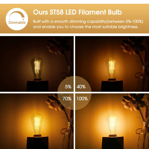 Old-School Edison Style LED Bulbs 7W Dimmable ST58 brightness levels demonstration