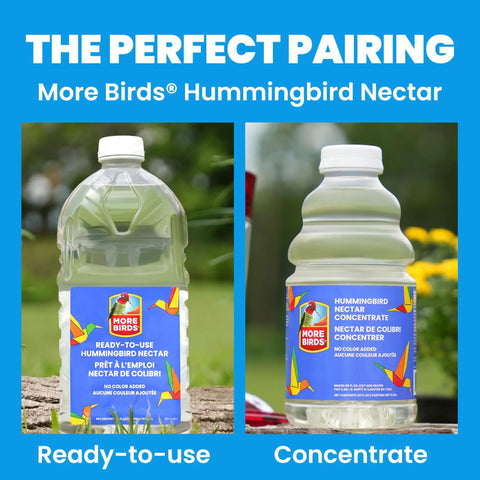 Bottles of More Birds Hummingbird Nectar, including ready-to-use and concentrate, on an outdoor surface.