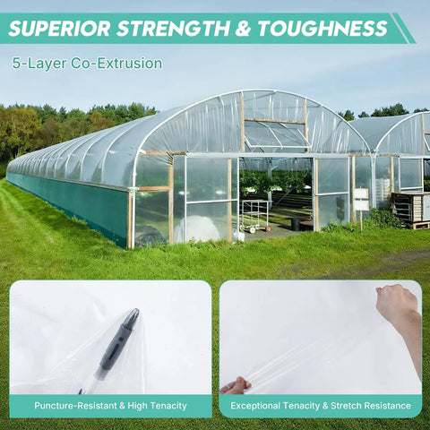 Heavy Duty 6 Mil UV Resistant Greenhouse Plastic Sheeting 12x25 Ft Clear Polyethylene Covering Waterproof For Garden, Farms, And Agriculture Tough As Nails Ideal For Greenhouses, Hoophouses, Cold Frames And Outdoor Growing