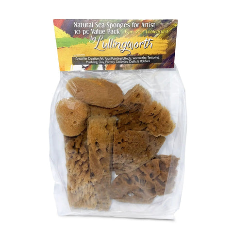 Unbleached Natural Sea Sponges 10 Pack Awesome Value For Arts And Crafts Set 2 To 4 Inch Sponges in packaging