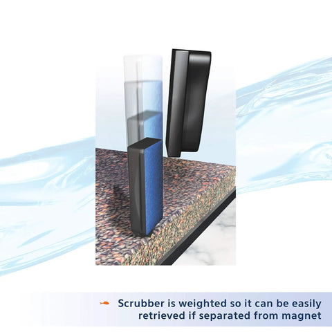 Magnetic Aquarium Algae Scraper For Glass And Acrylic Large Size Clean Inside From Outside With Curved Pad Shown in Action