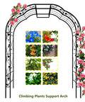 Tall Black Garden Arch Trellis 8.2 Ft High 6.2 Ft Wide Outdoor Arbor For Climbing Plants Roses And Vines Built To Last Perfect Lawn Wedding Archway Durable Weatherproof Construction