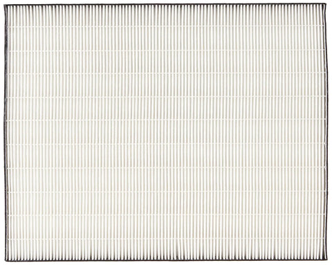 FZF60HFU True HEPA Replacement Filter for FP-F60UW, white pleated rectangular filter, 99.97% particle capture, for cleaner indoor air