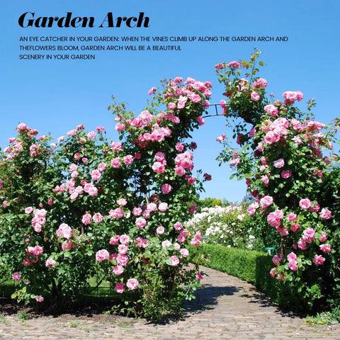 Sturdy Metal Garden Arch Trellis for Climbing Plants Outdoor 4.6 by 7.8 Ft Rustproof Coated Arbor with blooming roses