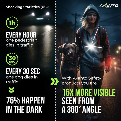 Person walking dog at night with Chest Light For Night Running And Walking USB C Rechargeable 500 Lumen Adjustable Beam Hands Free Safety Light Be Seen On Every Night Run Through Streets And Trails For Three To Five Hours Of Use Yellow.