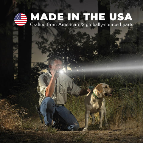 Man using Compact Powerhouse Mini LED Flashlight With 2Cell AA Batteries High Brightness Beam in forest with dog at night