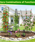 Obelisk Trellis For Climbing Plants Outdoor Garden Support 63 Inch Adjustable No Fuss Assembly Steel Plastic Coated Plant Stake