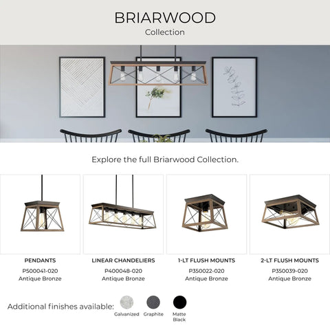 Briarwood lighting collection featuring Coastal 1-Light Mini Pendant in Antique Bronze with open cage design, ideal for rustic farmhouse vibe.