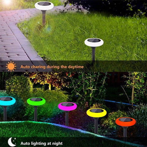 Colorize Colorful Pathway Solar Lights Set Of 6 illuminating a garden at night with auto on/off feature for landscape lighting