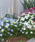 2 Gallon Handheld Sprayer With Base Large Four And A Half Inch Fill Opening 20 Inch Unbreakable Wand spraying colorful garden flowers