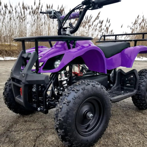 Purple ATV with rugged tires for off-road use in a snowy field