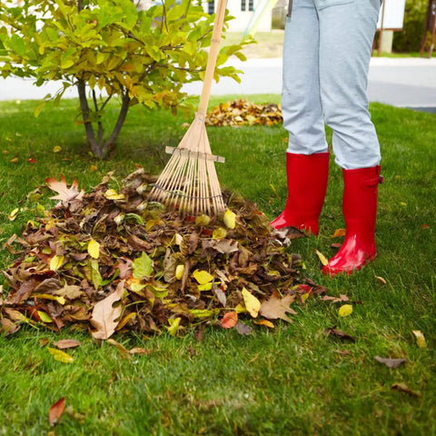 Person using Lightweight Bamboo Rake With Wooden Handle For Leaves And Lawn, 23.4 Inch Hand Rake for soil loosening and weeding