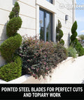 Manicured hedge shrubs demonstrating PrecisionCUT Aluminum Hedge Shears With Lightweight Ergonomic Handles