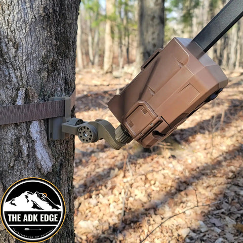 Universal Trail Camera Mount With Standard Camera Thread And 360 Degree Leveling Plus 180 Degree Tilt No Sweat Strap Rig mounted on a tree.