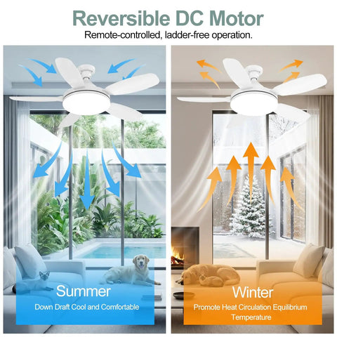 32 Inch Socket Fan Light With Remote Ultra Bright 3000 Lumen Ceiling Fan Light Combo displaying reversible motor function for summer and winter use in living room.