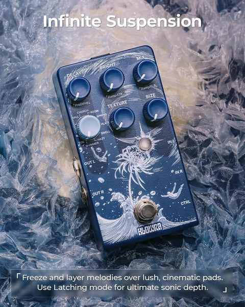 Limbo Stereo Reverb Pedal With Shimmer Tide And Freeze Nine Ambient Effects for electric guitar bass and synth on icy background