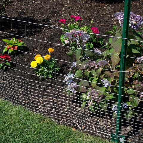 2 Inch By 3 Inch Welded Wire Fence Roll For Animal Enclosures And Garden Protection, 36 Inch By 50 Foot, 16 Gauge Galvanized Steel Mesh For Property Fencing And Easy Yard Security installed in garden