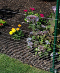 Galvanized Welded Wire Fence Mesh 2x1 Inch 24 Inch Tall By 100 Foot Roll surrounding garden flowers for yard or farm use.