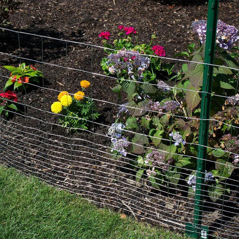 Galvanized Welded Wire Fence Mesh 2x1 Inch 24 Inch Tall By 100 Foot Roll surrounding garden flowers for yard or farm use.