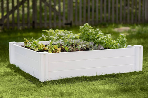 White Vinyl Raised Garden Bed 4 Ft By 4 Ft By 11 In Deep, Modular PVC Construction, BPA And Phthalate Free, with plants growing