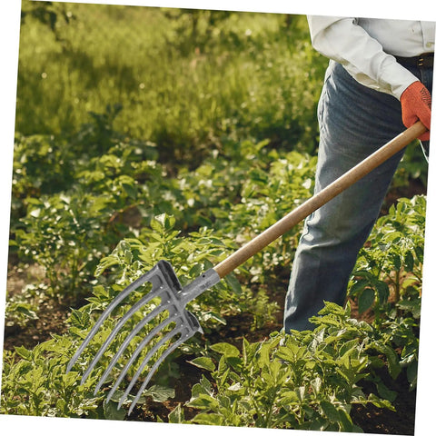 Heavy Duty Steel Garden Fork For Soil Loosening And Planting Area Prep in use on a farm with quick attach head for wooden handle.