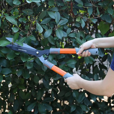 Ergonomic 21 Inch Garden Hedge Shears Pro Grade For Precise Pruning Of Shrubs And Bushes with high carbon steel blades in use.