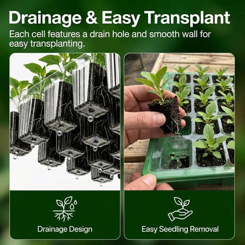 5 Pack BPA Free Seed Starter Trays Kit with 40 Cell Reusable Seedling Trays demonstrating drainage design and easy transplanting