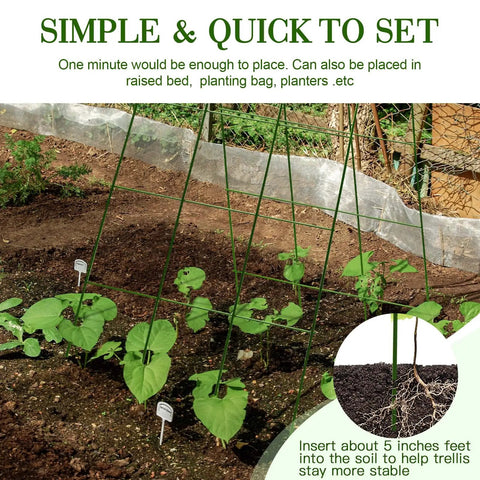 Foldable Metal A-Frame Cucumber Trellis 48 By 18 Inches for Narrow Raised Beds supporting young plants.