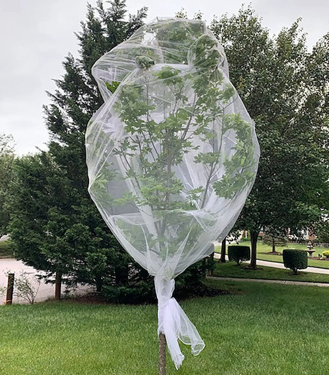 See Through Garden Netting 8.2 By 16.4 Feet Bug And Bird Barrier Netting For Plants Flowers Vegetables Fruit Trees UV Resistant Reusable Planter Mesh For Outdoor Gardens All Year Protection covering a tree for protection.
