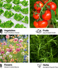 Vegetables, fruits, flowers, herbs in Hydroponics Growing System With Wheels A 3 Tier Vertical Garden Kit For 108 Plant Sites