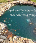 Arial view of a koi fish pond surrounded by rocks, promoting water garden products. No plant baskets are visible.