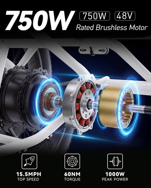 Electric Tricycle For Adults With 749W Motor And 48V Battery, fat tire 3 wheel trike motor diagram