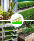 Soil Free Seed Sprouter Trays With Lids 5 Pack For Microgreens And Wheatgrass No Soil Growing Kit With Germinating Paper BPA Free
