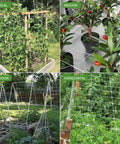 Heavy-Duty Garden Trellis Netting for Climbing Plants 6x15ft used vertically, indoors, outdoors, and horizontally in garden setups