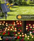 Daytime solar panel charging and nighttime Solar Powered Firefly Lights 4 Pack With 8 LEDs Each in garden setting