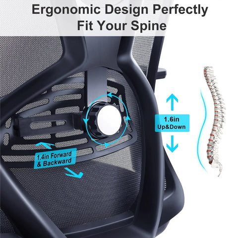 Adjustable lumbar support on ergonomic mesh office chair with visual of spine alignment features, ideal for long desk hours.