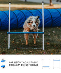 Dog jumping over bar in Backyard Dog Agility Starter Kit with 10 Foot Tunnel, Tire Jump, Bar Jump, Weave Poles, Sandbags and Pause Box for Home Training