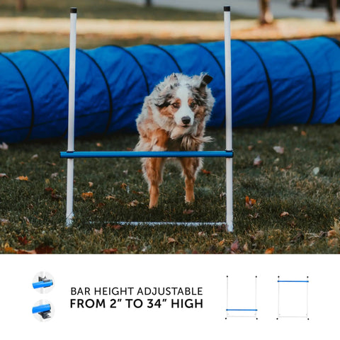 Dog jumping over bar in Backyard Dog Agility Starter Kit with 10 Foot Tunnel, Tire Jump, Bar Jump, Weave Poles, Sandbags and Pause Box for Home Training