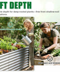 Tall Galvanized Raised Garden Bed Kit For Outdoor Patio 6x3x2ft Deep Root Planter Boxes, woman using elevated metal bed