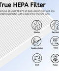 Easy Install Premium True HEPA Carbon Filter Replacement showing filtration benefits for dust, pollen, smoke, and pet hair.