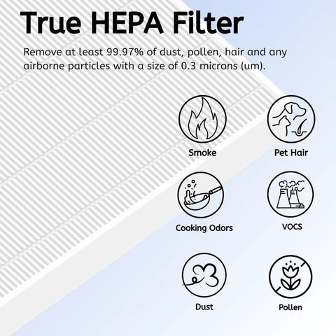 Easy Install Premium True HEPA Carbon Filter Replacement showing filtration benefits for dust, pollen, smoke, and pet hair.