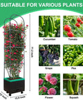 Raised Garden Bed With Self Watering Planter Box And Trellis For Climbing Plants Indoor Outdoor Yard Greenhouse Use Ideal For Tomatoes Cucumbers Roses Tomato Cage Veggies alongside images of various plants it can support including cucumbers, tomatoes, grapes, peas, flowers, and squash.