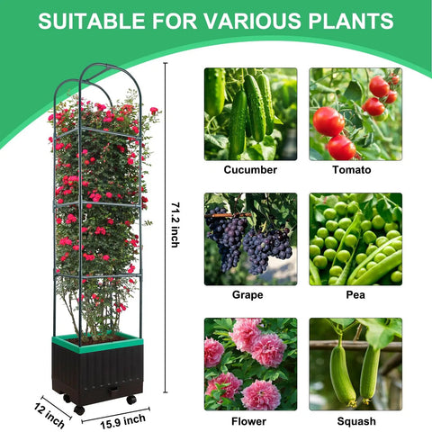 Raised Garden Bed With Self Watering Planter Box And Trellis For Climbing Plants Indoor Outdoor Yard Greenhouse Use Ideal For Tomatoes Cucumbers Roses Tomato Cage Veggies alongside images of various plants it can support including cucumbers, tomatoes, grapes, peas, flowers, and squash.