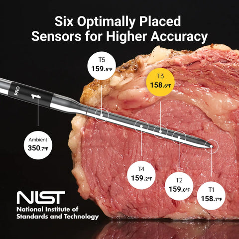 Wireless Bluetooth Smart Meat Thermometer with Sub 1G Range 6 Sensors NIST Certified Accuracy Dual Probes inserted in roast beef.