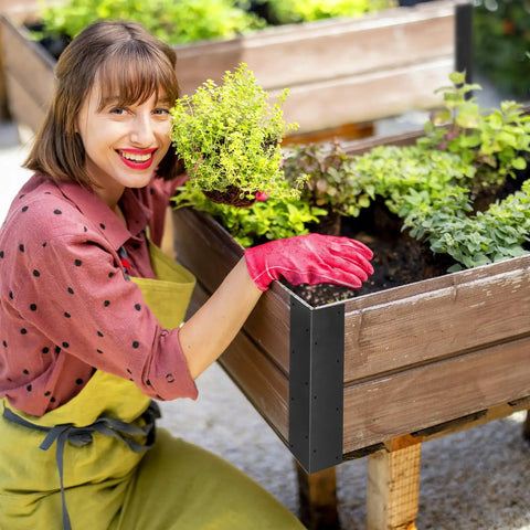 Woman gardening near raised garden bed with Set Of Eight Beefy Raised Garden Bed Corner Brackets With Wood Screws For 20 To 24 Inch Beds.