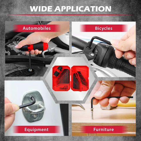 41 Piece Hex Key And Torx Wrench Set With Torque Handle, SAE And Metric L Shaped Allen Keys used for various applications