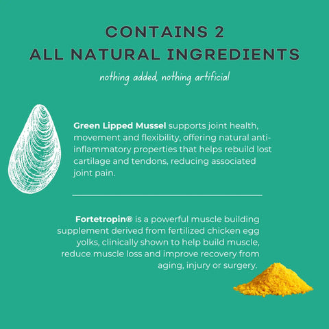 Dog Muscle And Joint Recovery Supplement With Fortetropin And Green Lipped Mussel ingredients list, 396 gr focus on natural.