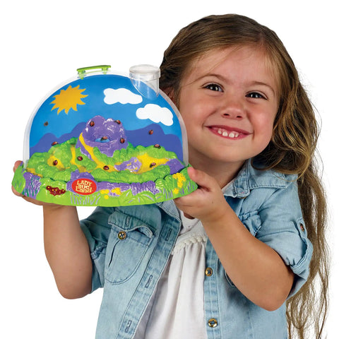 Ladybug Land Growing Kit Habitat With Live Ladybug Larvae Voucher Observe Metamorphosis Stages In A Colorful Dome Diorama Kid Friendly For Curious Gardeners And Kids, child holding dome