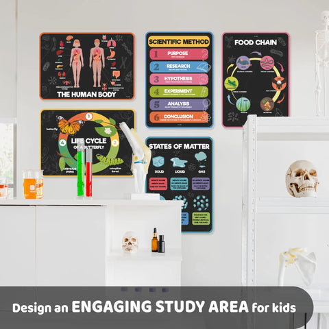 Six laminated science posters on classroom wall; 12 Laminated Science Posters For Classroom Set 11.8 x 16.5 Inches Includes Chemistry Biology Physics Earth Science Posters For Middle School And High School Classroom Decor And Bulletin Board Displays.