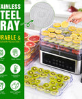 No Stress Food Dehydrator With Eight Stainless Steel Trays showcasing fresh fruit on stainless steel trays and digital controls.